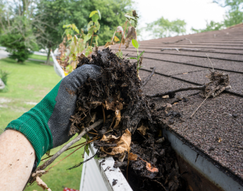Homeowner cleaning gutters during summer roof maintenance in Macomb County.