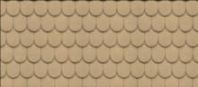 Buckskin