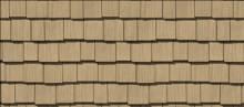 Buckskin